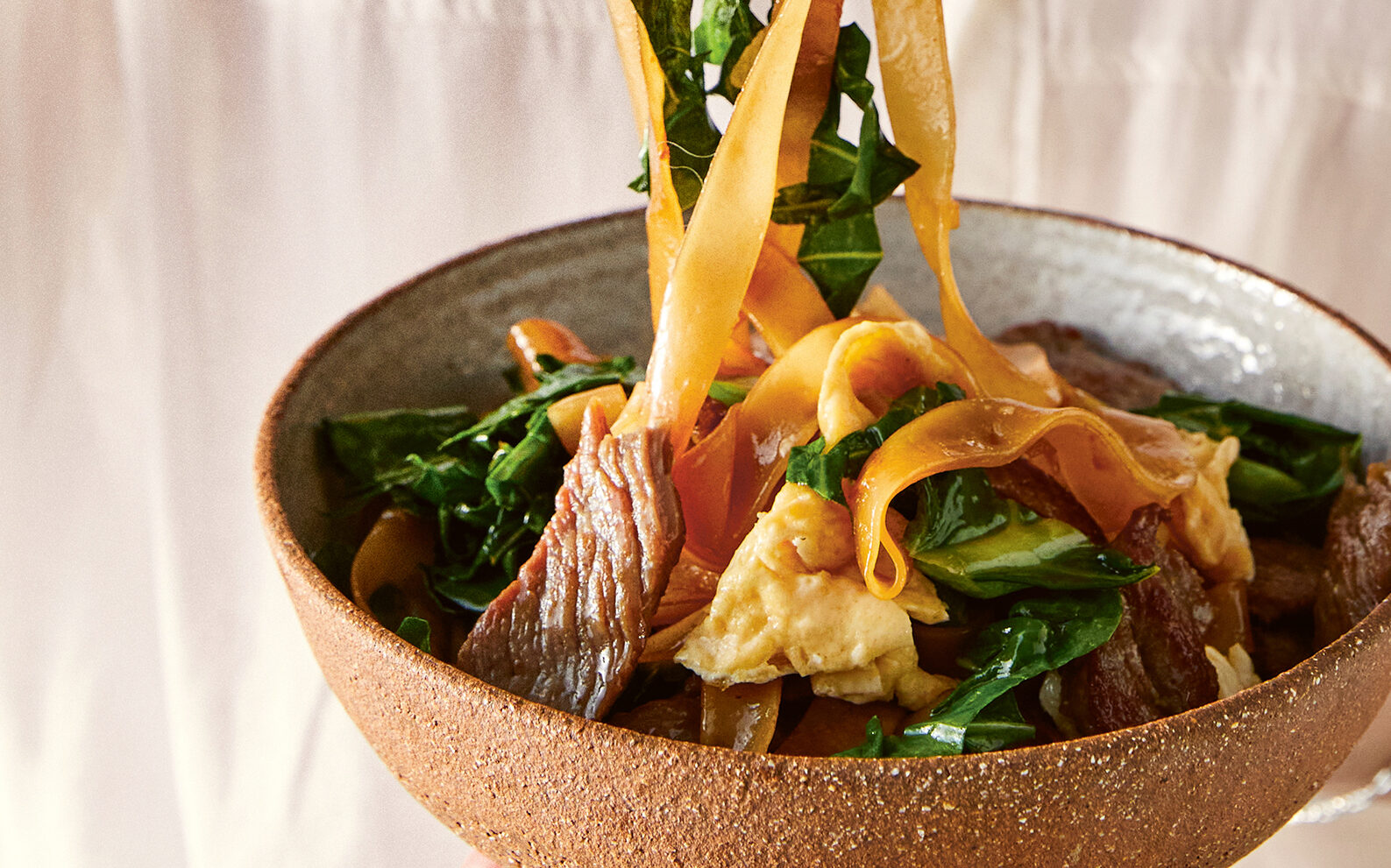 A bowl of Thai-style beef stir-fry with rice noodles and scallion greens.